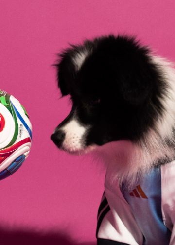 adidas lanza camisetas de la Copa Mundial de la FIFA 2026 para mascotas
