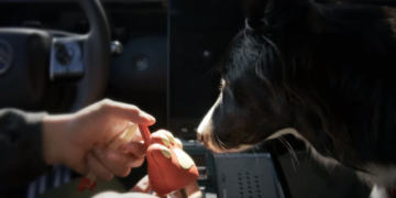 Citroën presenta Calm Diffuser, un dispositivo que busca reducir el estrés de las mascotas en los autos 2 Diseno 77