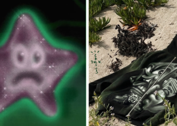 MercadoNegro 13 Edits MN 22