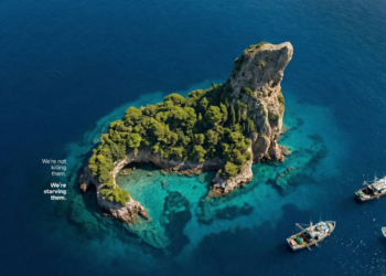 MercadoNegro 12 Edits MN 27