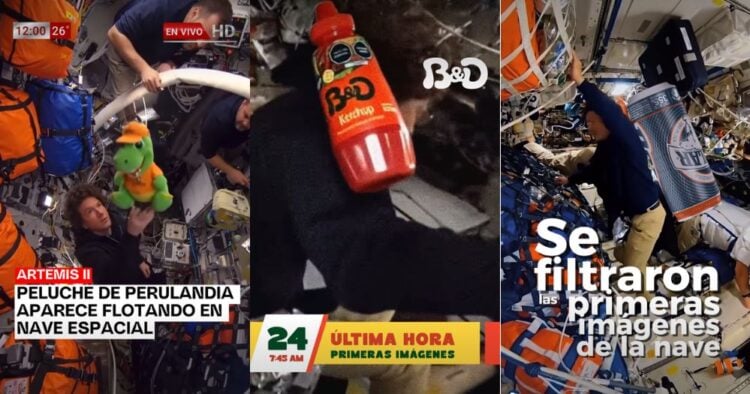 PORTADA MN 2026 04 08T144324.658