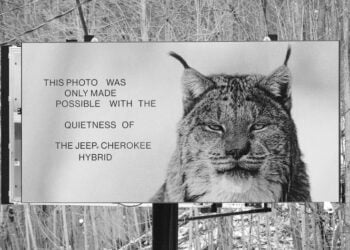 MercadoNegro 19 PORTADA MN 2026 04 14T101138.592