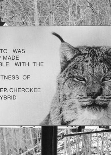 MercadoNegro 35 PORTADA MN 2026 04 14T101138.592