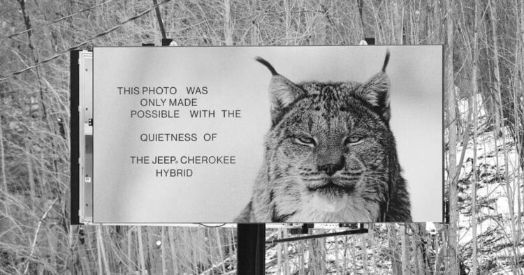 Jeep demuestra la tecnología silenciosa de su Cherokee Hybrid con fotografías de vida silvestre 1 PORTADA MN 2026 04 14T101138.592