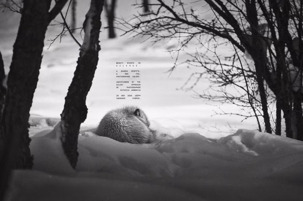 Jeep demuestra la tecnología silenciosa de su Cherokee Hybrid con fotografías de vida silvestre 4 RRKI7UC5IRHFXMFQ3VPWVKQBJM