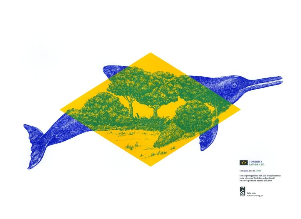 bandera brasil animales 3