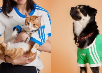 adidas Originals llega al mercado pet en Perú