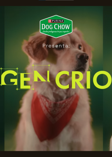 MercadoNegro 34 Dog Show lanza iniciativa para romper el estigma sobre el cuidado de los perros criollos