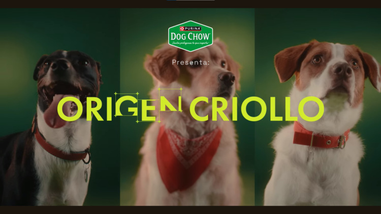 Dog Show lanza iniciativa para romper el estigma sobre el cuidado de los perros criollos 1 Dog Show lanza iniciativa para romper el estigma sobre el cuidado de los perros criollos