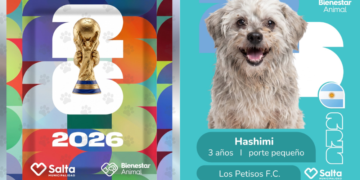 Campaña transforma el álbum del Mundial en una iniciativa para impulsar la adopción de mascotas 3 Edits MN 46