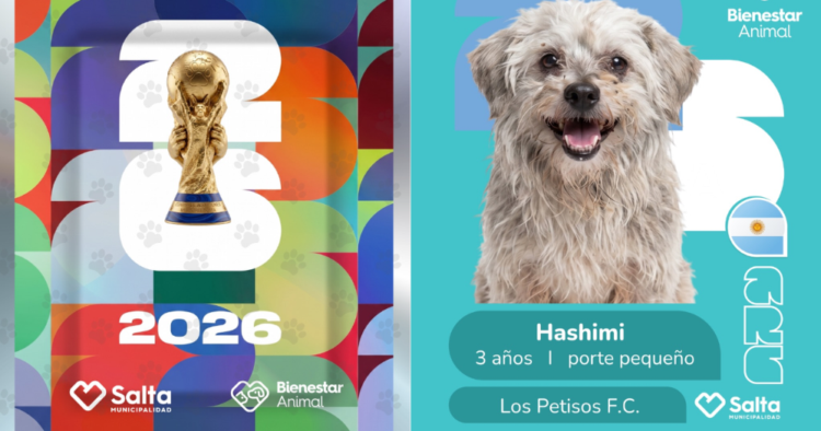 Campaña transforma el álbum del Mundial en una iniciativa para impulsar la adopción de mascotas 1 Edits MN 46