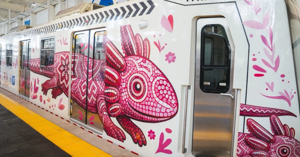 El ajolote mexicano de Clara Brugada expone disputa visual rumbo al Mundial 2026 3 Branding de ajolote invade Ciudad de México