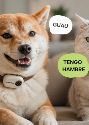 MercadoNegro 23 China crea traductor de mascotas con un 95% de precisión