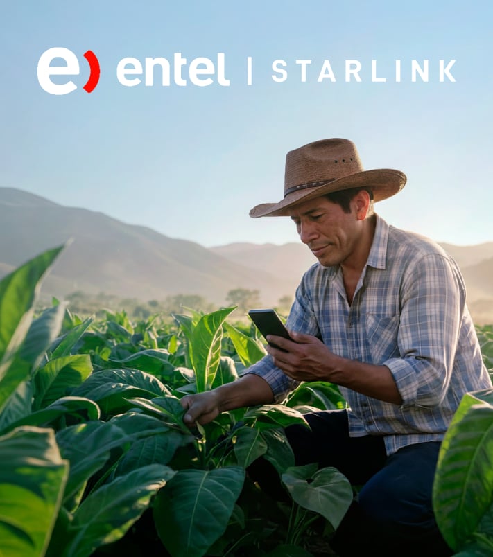 WhatsApp ilimitado con Entel y Starlink: una nueva propuesta en planes desde S/ 59.90 3 grafica cuerpo.jpg 2