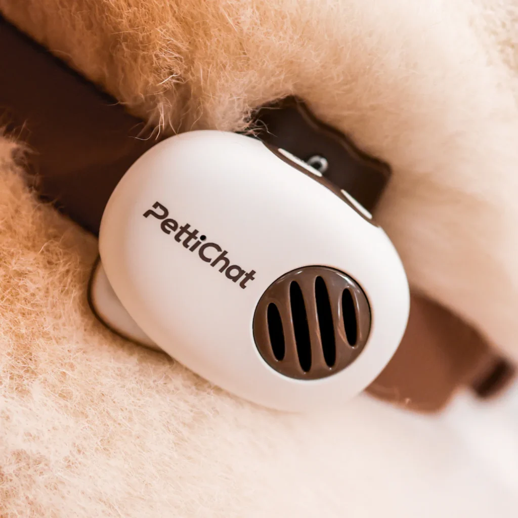Petichat: el traductor chino de mascotas 