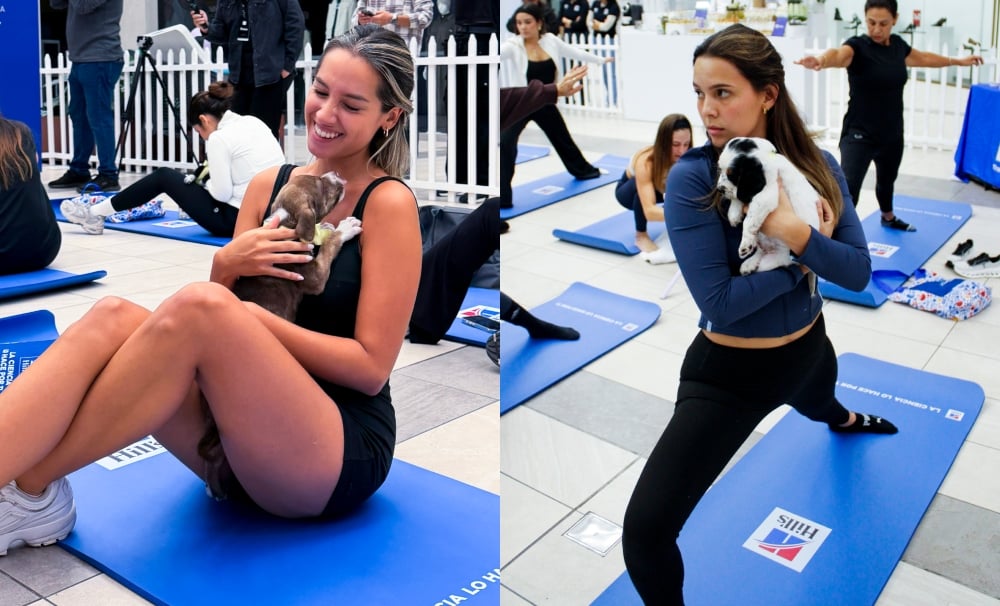 Hill’s refuerza su posicionamiento en nutrición con una experiencia de puppy yoga que celebra el vínculo con las mascotas 4 BeFunky collage 2026 06 02T110503.165