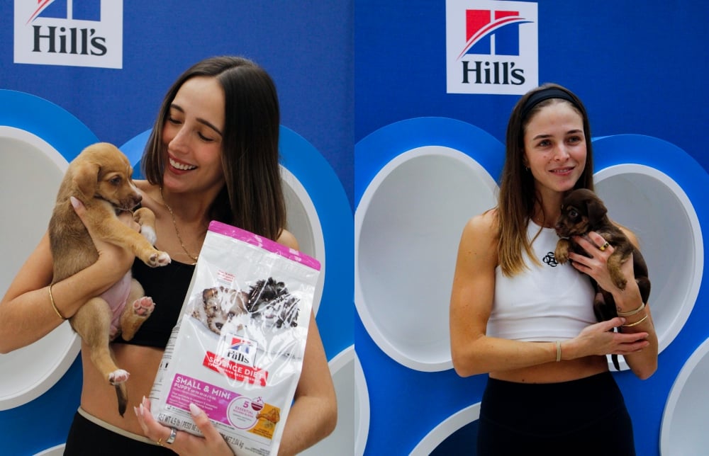 Hill’s refuerza su posicionamiento en nutrición con una experiencia de puppy yoga que celebra el vínculo con las mascotas 5 BeFunky collage 2026 06 02T110708.983