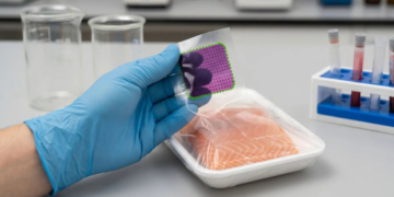 Investigadores peruanos crean empaques que alertan cuando un alimento está en descomposición 2 Investigadores peruanos