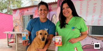 Cuando cuidar a tu mascota también ayuda a otras: Proteggo® impulsa campaña que donará hasta S/ 50,000 a Voz Animal 2 PORTAL PROTEGGO.jpg 1