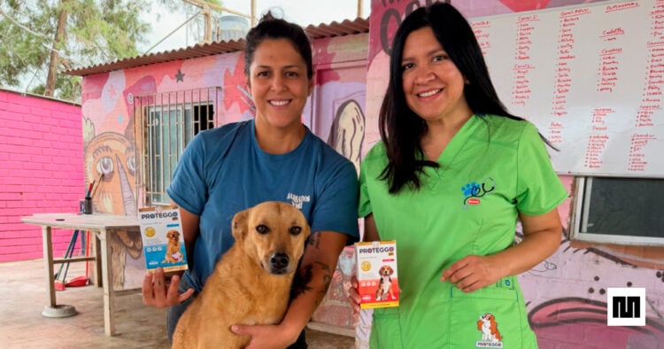 Cuando cuidar a tu mascota también ayuda a otras: Proteggo® impulsa campaña que donará hasta S/ 50,000 a Voz Animal 1 PORTAL PROTEGGO.jpg 1