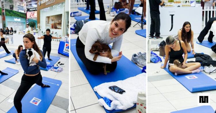 Hill’s refuerza su posicionamiento en nutrición con una experiencia de puppy yoga que celebra el vínculo con las mascotas 1 PORTAL.jpg 23