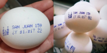 “¿Y si sí?”: la jugada de Huevos San Juan de México para llevar la ilusión del Mundial 2026 hasta el desayuno 2 “¿Y si sí?”: la jugada de Huevos San Juan de México para llevar la ilusión del Mundial 2026 hasta el desayuno