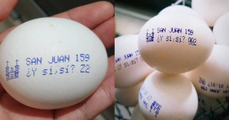 “¿Y si sí?”: la jugada de Huevos San Juan de México para llevar la ilusión del Mundial 2026 hasta el desayuno 1 “¿Y si sí?”: la jugada de Huevos San Juan de México para llevar la ilusión del Mundial 2026 hasta el desayuno