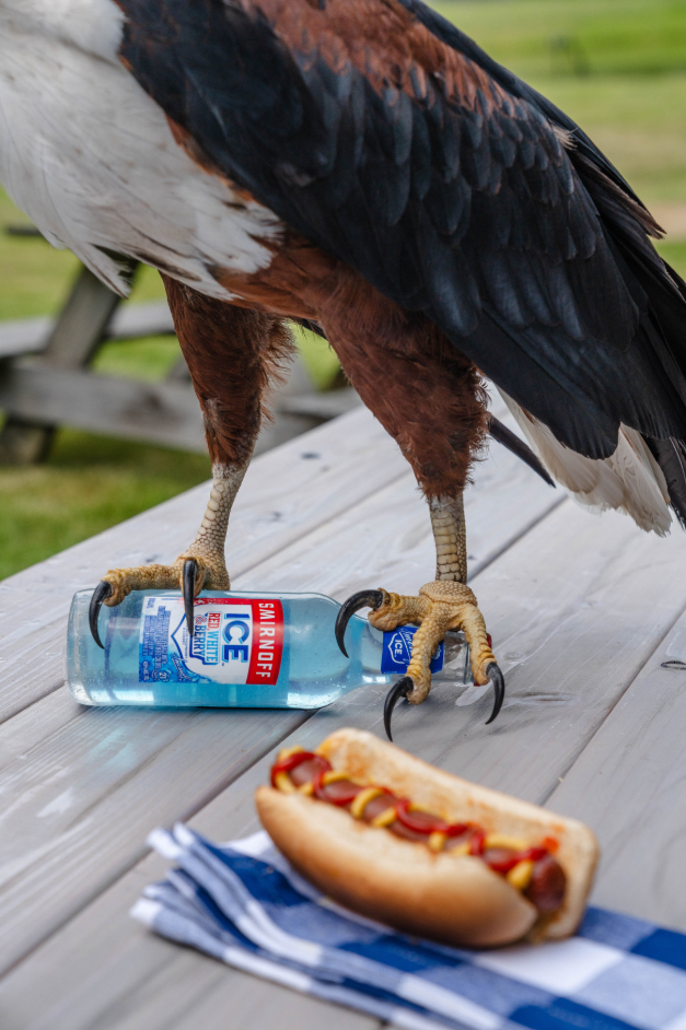Doggie Bags: los bolsos con forma de hot dog diseñados para llevar una botella de Smirnoff 5 Captura de pantalla 2026 07 17 160005