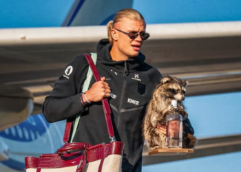 Qué es el "Whiskey Raccoon", el souvenir que Erling Haaland llevó a Noruega