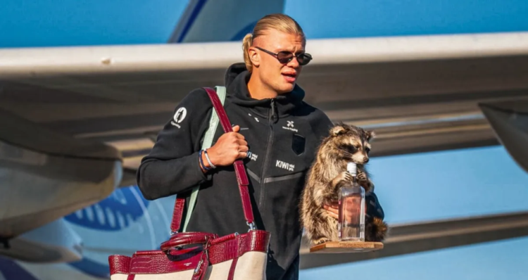 Qué es el "Whiskey Raccoon", el souvenir que Erling Haaland llevó a Noruega 1 Qué es el "Whiskey Raccoon", el souvenir que Erling Haaland llevó a Noruega