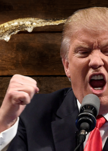 MercadoNegro 29 Bar que prometió cerveza gratis el día del fallecimiento de Donald Trump perderá su licencia
