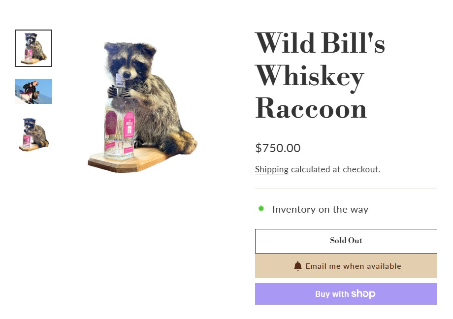 Qué es el "Whiskey Raccoon", el souvenir que Erling Haaland llevó a Noruega 2 image 105