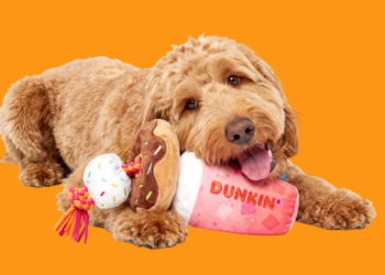 Dunkin' tendrá su primer drive-thru para perros y una nueva colección de juguetes