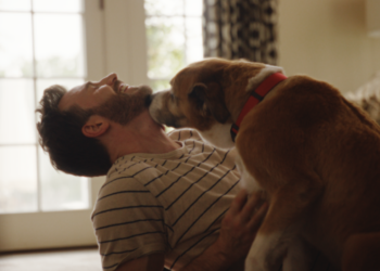 Chris Evans protagoniza nueva campaña de Jinx junto a su perro Dodger