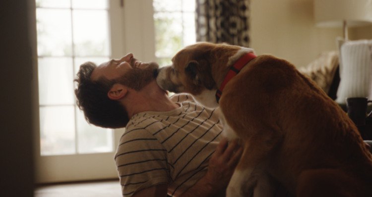 Chris Evans protagoniza nueva campaña de Jinx junto a su perro Dodger