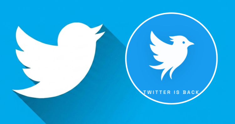 Twitter vuelve, pero no es X: así es la nueva red social que busca recuperar la marca 1 Twitter vuelve, pero no es X: así es la nueva red social que busca recuperar la marca