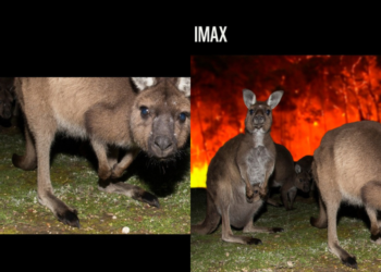 WWF convierte el trend de IMAX en una campaña contra los incendios forestales