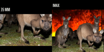 WWF convierte el trend de IMAX en una campaña contra los incendios forestales 2 WWF convierte el trend de IMAX en una campaña contra los incendios forestales