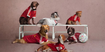 adidas lanza camisetas para perros inspiradas en Real Madrid, Liverpool y otros grandes clubes 3 adidas lanza camisetas para perros inspiradas en Real Madrid, Liverpool y otros grandes clubes