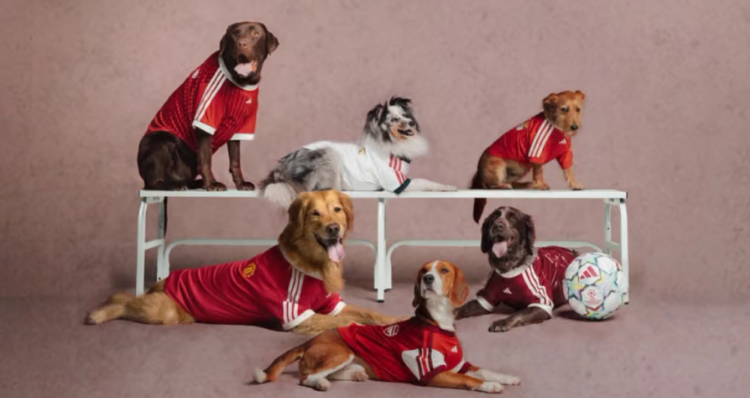 adidas lanza camisetas para perros inspiradas en Real Madrid, Liverpool y otros grandes clubes 1 adidas lanza camisetas para perros inspiradas en Real Madrid, Liverpool y otros grandes clubes