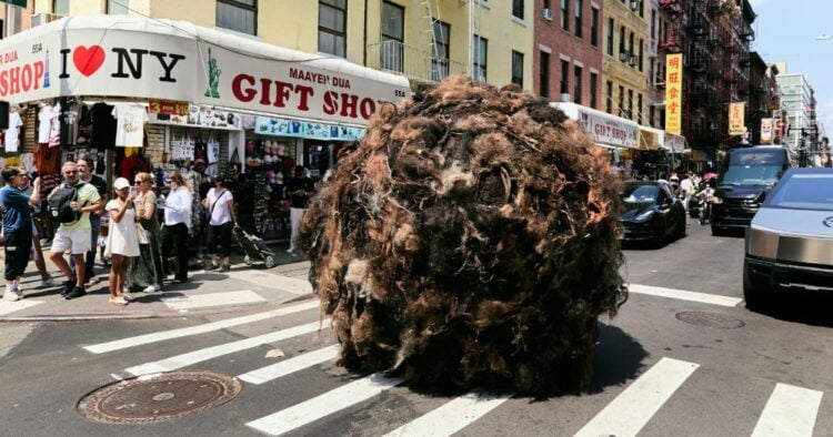 Bola de pelo gigante invade las calles de Nueva York para prevenir sobre la caída de cabello 1 PORTADA MN 2026 08 11T144233.945