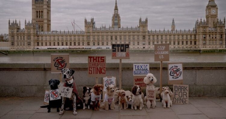 "Fue el perro": marca británica convierte la clásica excusa para ocultar gases en una campaña 1 PORTADA MN 2026 08 24T101116.345