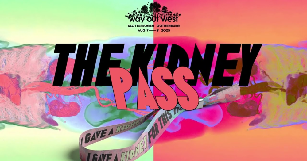 Este festival cuesta un riñón, literalmente: así funciona el “Kidney Pass” 3 Kidney Pass: una campaña de donación