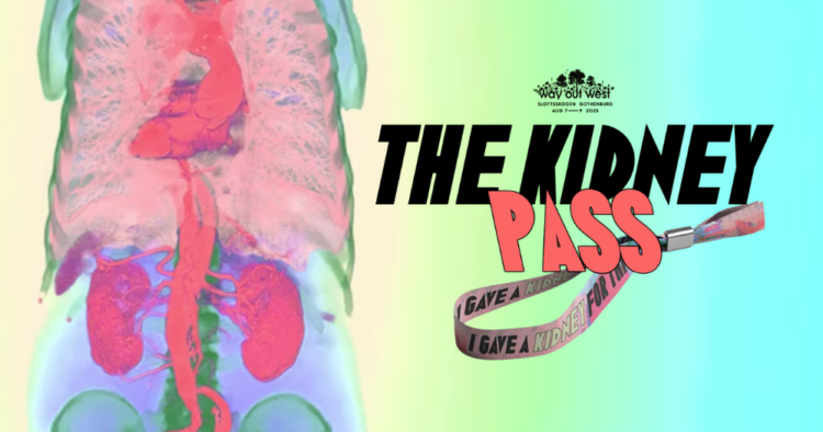 Este festival cuesta un riñón, literalmente: así funciona el “Kidney Pass” 1 Este festival cuesta un riñón, literalmente: así funciona el “Kidney Pass”