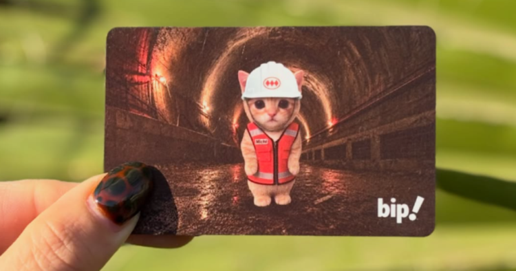 Michi Bip!: 10 mil tarjetas del gato viral del Metro de Chile se agotan en minutos 1 Michi Bip!: 10 mil tarjetas del gato viral del Metro de Chile se agotan en minutos