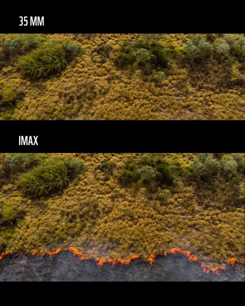 WWF convierte el trend de IMAX en una campaña contra los incendios forestales 6 SaveClip.App 776222649 18618345004043033 6690562163917343240 n