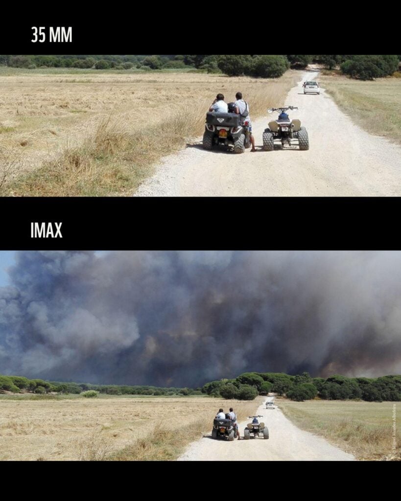 WWF convierte el trend de IMAX en una campaña contra los incendios forestales 4 SaveClip.App 776401924 18618344986043033 6193505434769452797 n