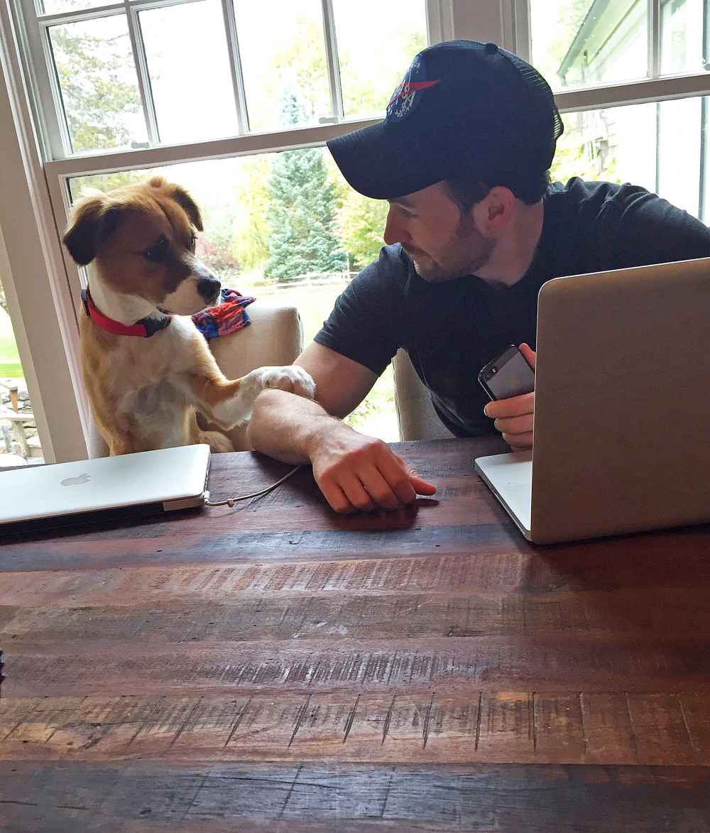 Chris Evan Shares Video Meeting Rescue Dog for the First Time | Us Weekly