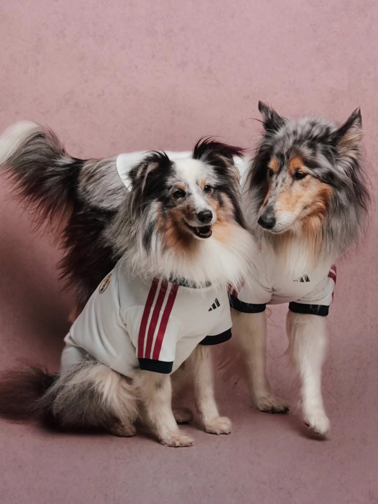 adidas lanza camisetas para perros inspiradas en Real Madrid, Liverpool y otros grandes clubes 2 image 213
