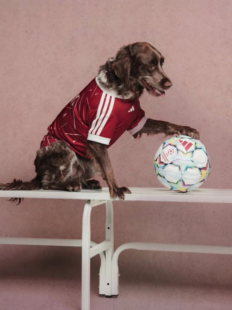 adidas lanza camisetas para perros inspiradas en Real Madrid, Liverpool y otros grandes clubes 4 image 216
